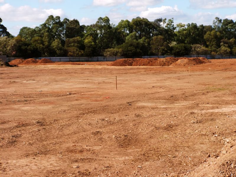 Acreage Clearing in Katy, TX