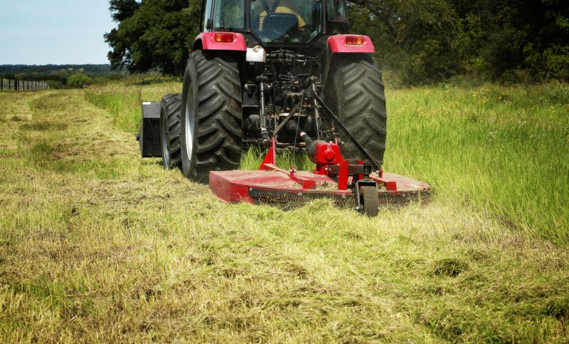 Pasture Clearing in Marietta, GA