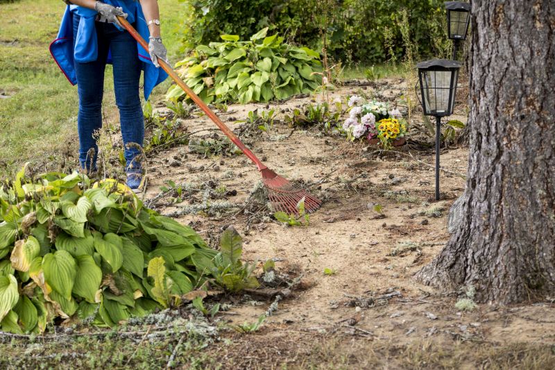 Pool Land Clearing in Houston, TX