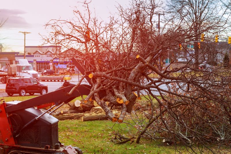 Site Clearing Service in Salt Lake City, UT