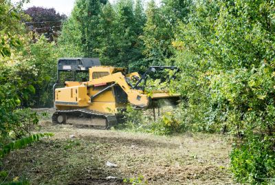 Terrain Clearing in Marietta, GA
